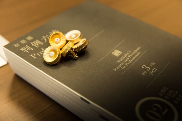 各都道府県の弁護士会のHPにアクセスし弁護士を紹介してもらう